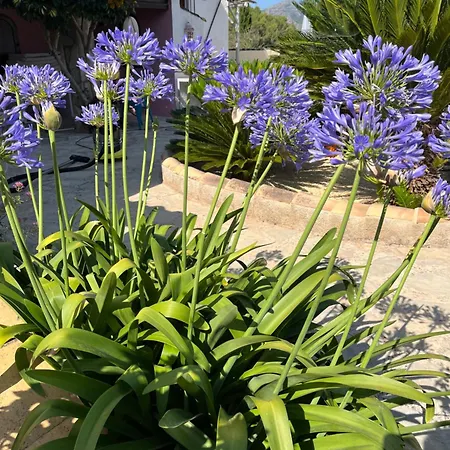 Casa Llibertat Boutique With 4*